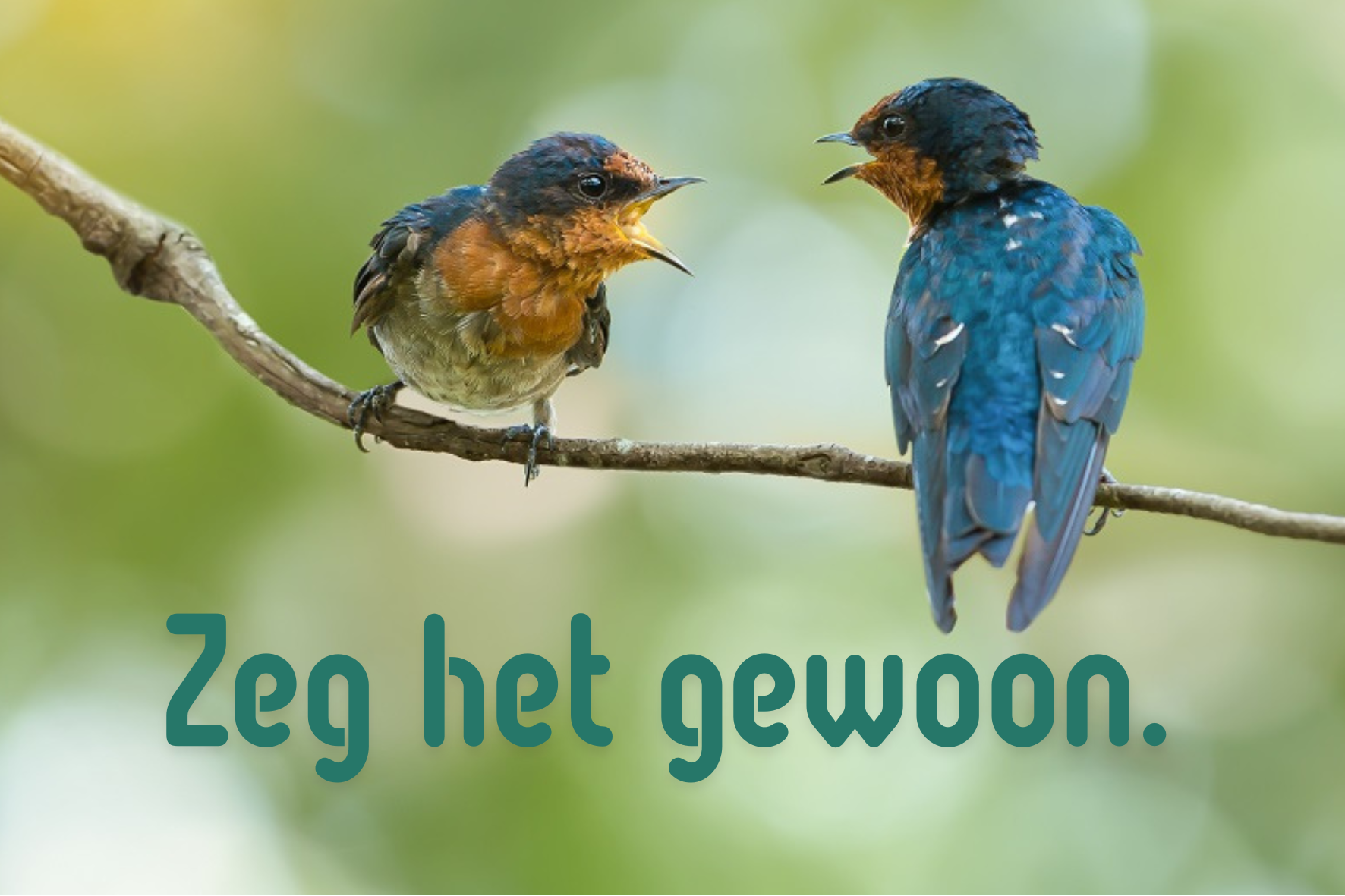 postkaart-formaat (1)